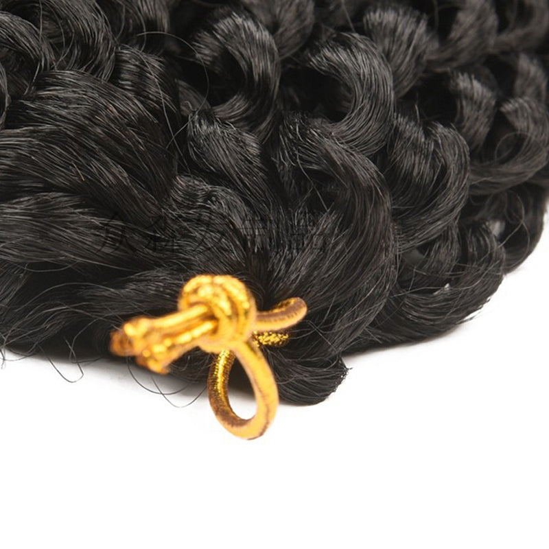 Effortless Elegance: Passion Twist Crochet Braids