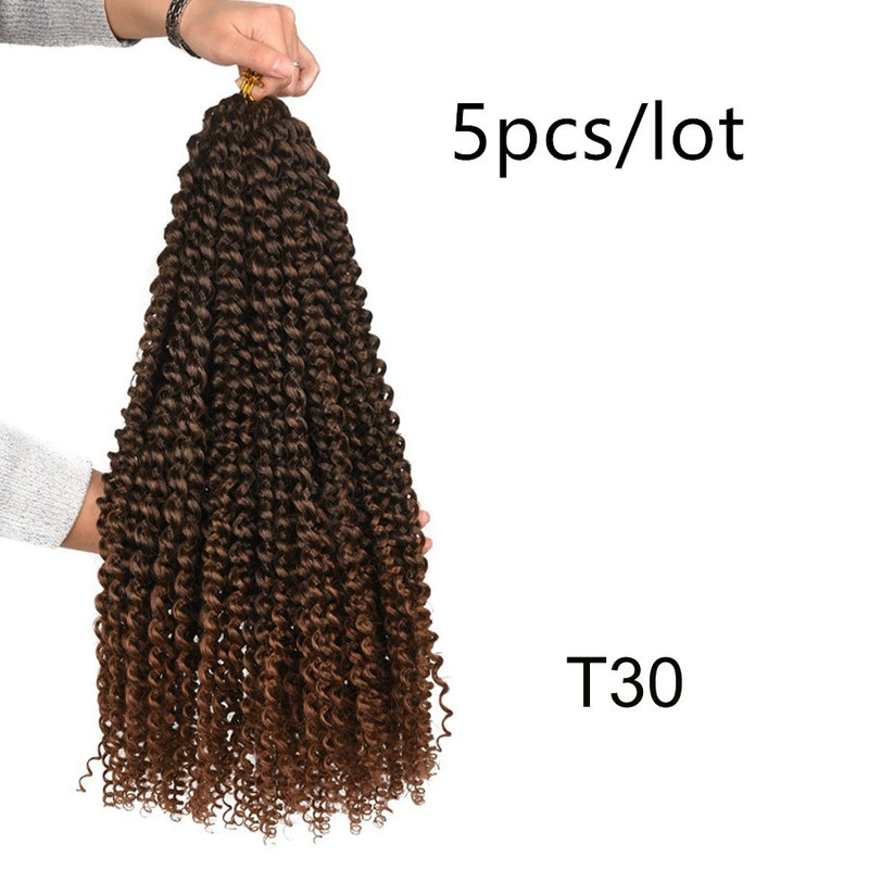 Effortless Elegance: Passion Twist Crochet Braids